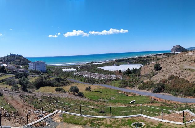 azerbaijan/antalya/delfinaanddelfino36231315.jpg