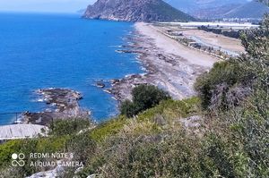 azerbaijan/antalya/delfinaanddelfino41c291a9.jpg