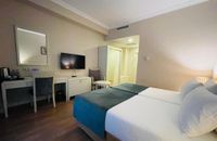 Deluxe French Twin Room without view