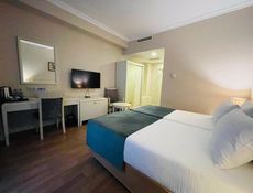Deluxe French Twin Room without view