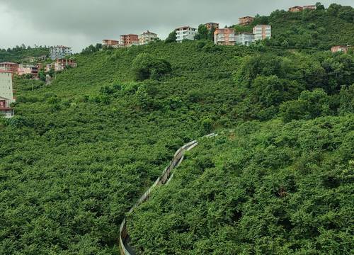 azerbaijan/trabzon/arsin/metrovipdogavedenizmanzaralisuitdaireler35bfd2b8.jpg