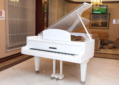 azerbaycan/baku/baku/modern-hotel_72b26b46.jpg