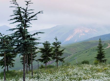 azerbaycan/baku/quosar/gaya-residence_5a7ef6c3.jpg