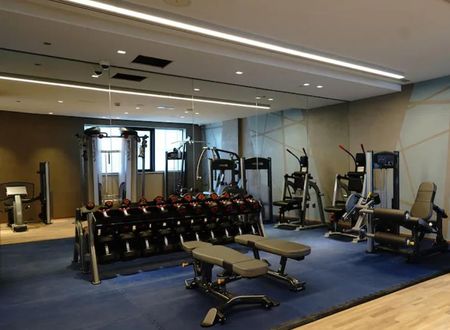 birlesik-arap-emirlikleri/dubai/tecom/millennium-place-barsha-heights-hotel_42223d14.jpg