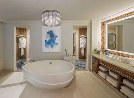 birlesik-arap-emirlikleri/dubai/the-palm-jumeirah/atlantis-the-palm_449c8017.jpg