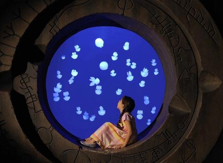 birlesik-arap-emirlikleri/dubai/the-palm-jumeirah/atlantis-the-palm_78a1d90b.jpg
