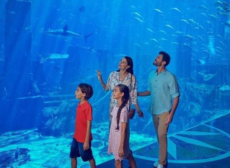 birlesik-arap-emirlikleri/dubai/the-palm-jumeirah/atlantis-the-palm_84fbe9ae.jpg