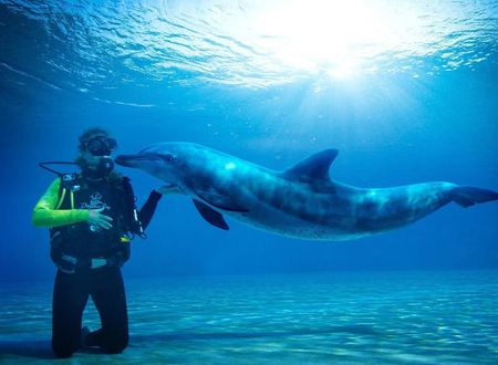 birlesik-arap-emirlikleri/dubai/the-palm-jumeirah/atlantis-the-palm_8910e6ca.jpg