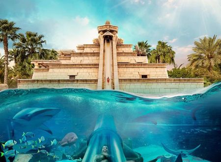 birlesik-arap-emirlikleri/dubai/the-palm-jumeirah/atlantis-the-palm_bbf89182.jpg
