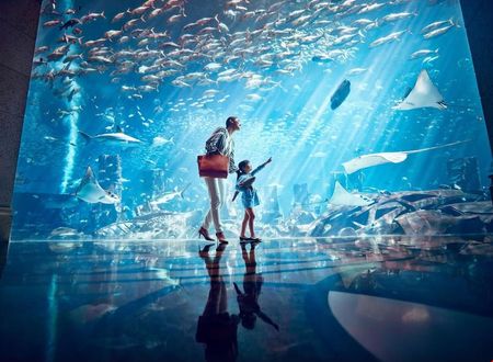 birlesik-arap-emirlikleri/dubai/the-palm-jumeirah/atlantis-the-palm_fdd18eee.jpg
