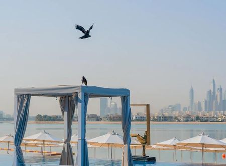 birlesik-arap-emirlikleri/dubai/the-palm-jumeirah/c-central-hotel-resort-the-palm_115b63df.jpg
