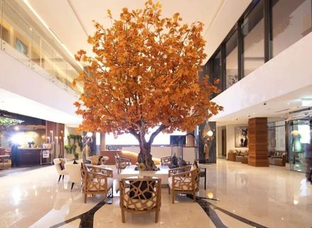 birlesik-arap-emirlikleri/dubai/the-palm-jumeirah/c-central-hotel-resort-the-palm_ff77ea7c.jpg