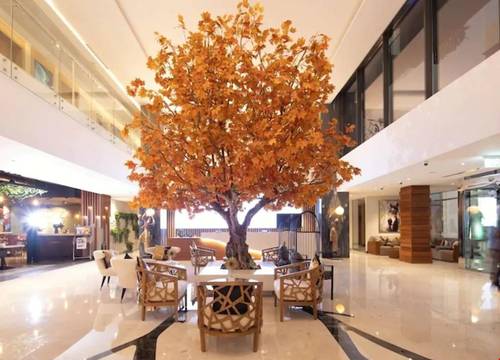 birlesik-arap-emirlikleri/dubai/the-palm-jumeirah/c-central-hotel-resort-the-palm_ff77ea7c.jpg
