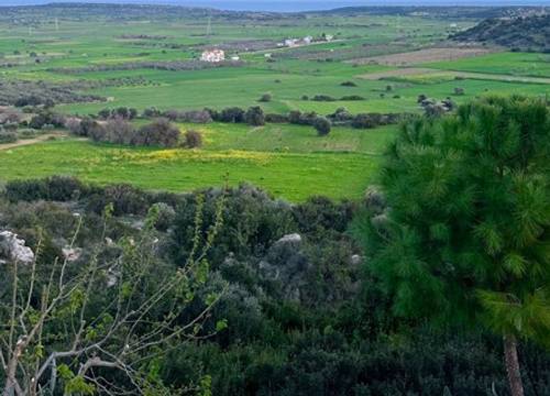 cyprus/gazimagusa/celebigardenhotel04bd82bf.jpg