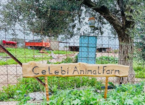 cyprus/gazimagusa/celebigardenhotele59228b0.jpg