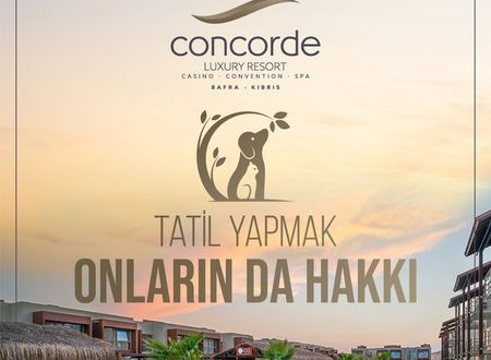 cyprus/gazimagusa/concordeluxuryresortconventionspacasino1c25ed1d.jpg