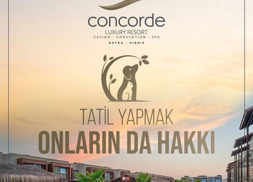 cyprus/gazimagusa/concordeluxuryresortconventionspacasino1c25ed1d.jpg