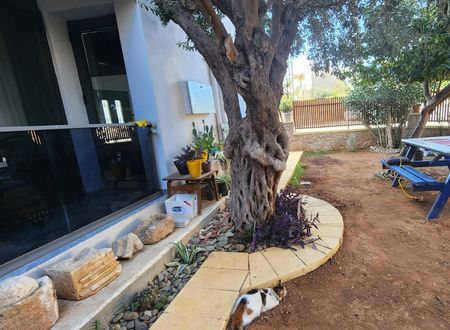 cyprus/gazimagusa/kirkorguesthouse7b77093c.jpg