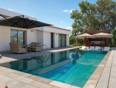 Swim Up King Villa
