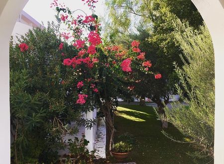 cyprus/kibris/barehillholidayvillage44da92b2.jpg