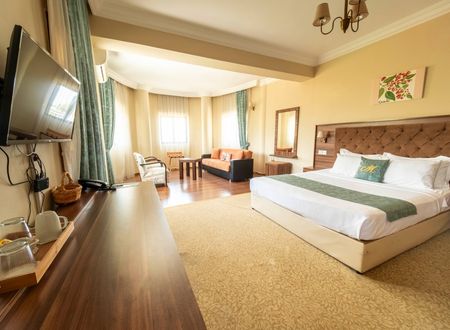 cyprus/kibris/meryemshotel0166187e.jpg