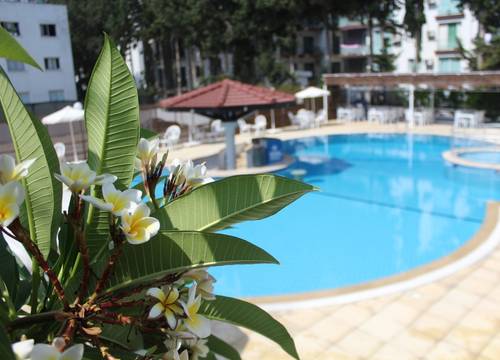 cyprus/kibris/sammyshotel45da3799.jpg