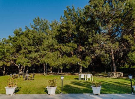 cyprus/kibris/uptownbuyukanadolugirne578de704.jpg