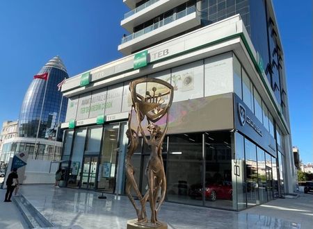cyprus/lefkosa/alyarooms496341c3.jpg