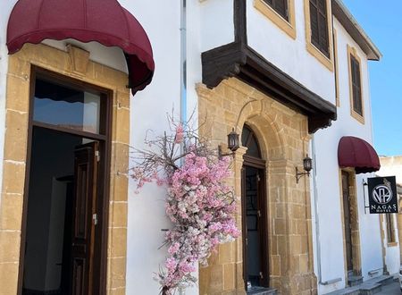 cyprus/lefkosa/nagashotelrestaurantathistoricalpartofnicosia799de637.jpg