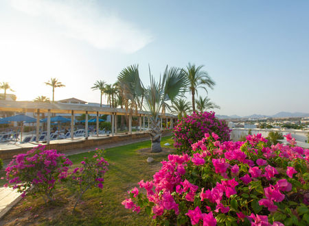 egypt/guney-sina/sharm-el-sheikh/naama-bay-hotel-resort_a56f871e.jpg