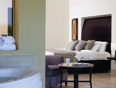 Jaccuzi Triple Room