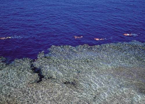egypt/guneysina/dreamsbeachresortsharmelsheikh3aa6dc23.jpg