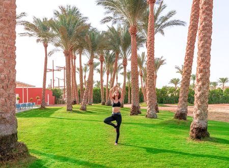 egypt/guneysina/pickalbatroslagunavistahotelsharmelsheikh899b6ca7.jpg
