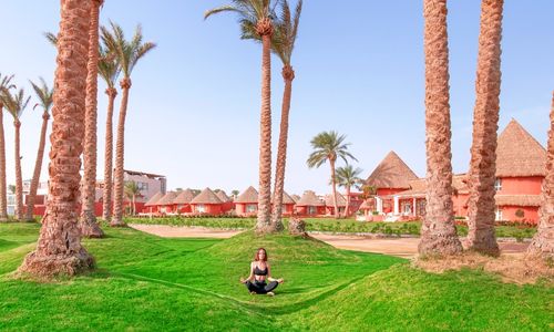 egypt/guneysina/pickalbatroslagunavistahotelsharmelsheikhe8d94a55.jpg