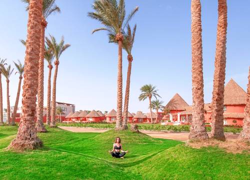 egypt/guneysina/pickalbatroslagunavistahotelsharmelsheikhe8d94a55.jpg