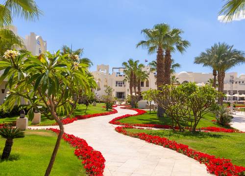 egypt/guneysina/swissotelsharmelsheikhadultonly622a5a70.jpg