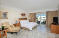 Suite Adult