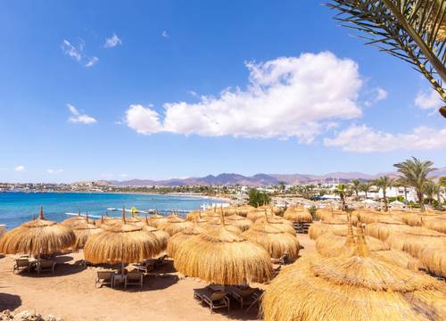 egypt/guneysina/swissotelsharmelsheikhaquahotelb1bc1d03.jpg