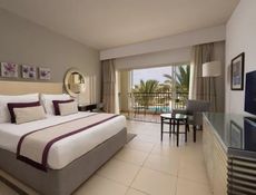 Superior Queen or Twin Bed Pool View