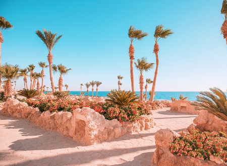 egypt/kizildeniz/pickalbatroscitadelresortee3dfb2a.jpg