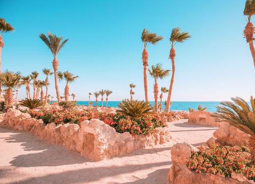 egypt/kizildeniz/pickalbatroscitadelresortee3dfb2a.jpg