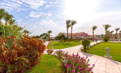 egypt/kizildeniz/pickalbatrosdanabeachresort41bd1d93.jpg