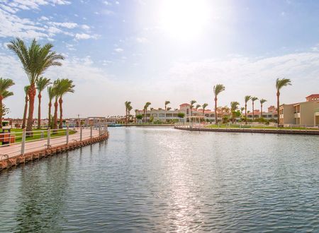 egypt/kizildeniz/pickalbatrosdanabeachresort88c78c8e.jpg