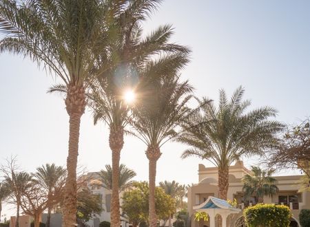 egypt/kizildeniz/serenitymakadibeachaa4cc18a.jpg
