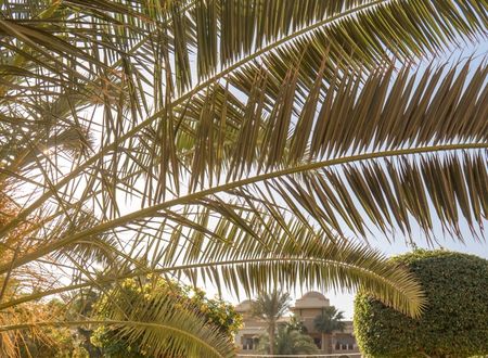 egypt/kizildeniz/serenitymakadibeachf10f89b9.jpg