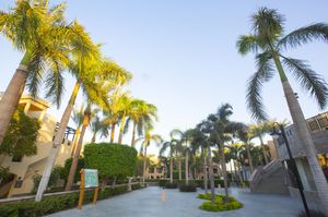 egypt/kizildeniz/stellagardensresort81bc80a5.jpg
