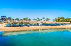 egypt/kizildeniz/sunriseaquajoyresortd8ae44d5.jpg
