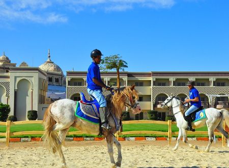 egypt/kizildeniz/sunrisemamloukpalaceresort4f39a9df.jpg
