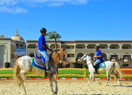 egypt/kizildeniz/sunrisemamloukpalaceresort4f39a9df.jpg