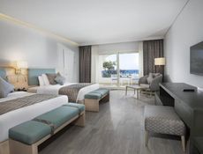 Deluxe Double or Twin Room with Sea View